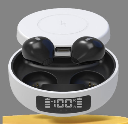Portable Wireless Bluetooth Earbuds