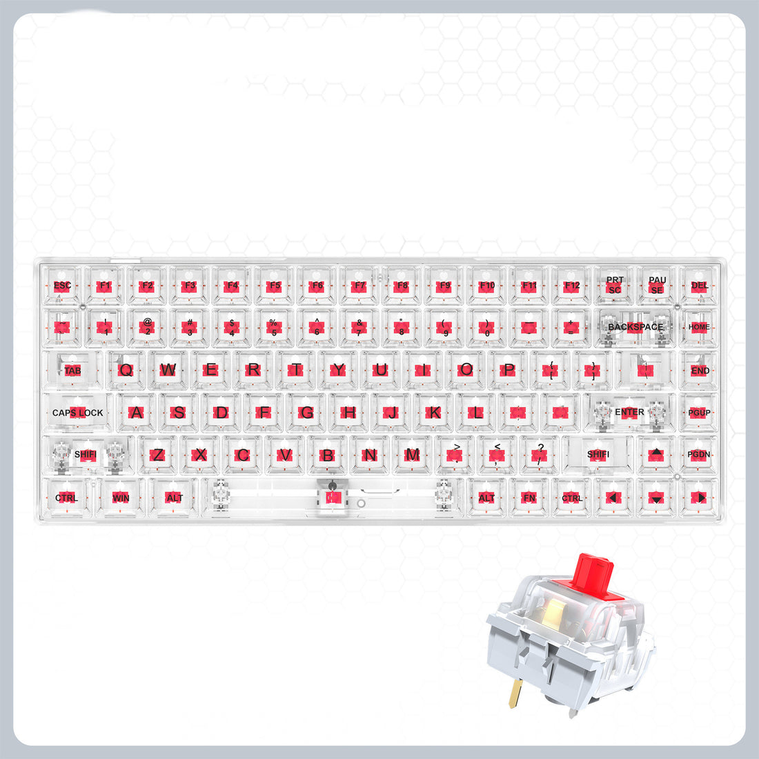 Transparent RGB Gaming Wired Mechanical Keyboard